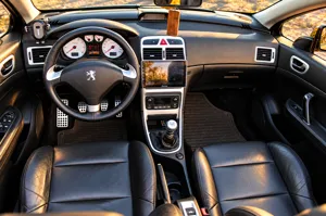 Peugeot 307 – sīktēls 12