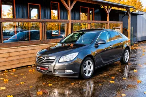 Opel Insignia – sīktēls 8